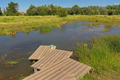 Spaziergang im Bourgoyen-Ossemeersen Naturschutzgebiet Gent