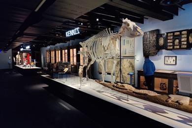 Wanderroute in Gent: entlang 15 Museen