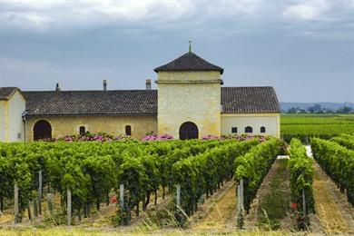 Gironde Rundreise entlang Bordeaux und Saint-Emilion (Route + Karte)