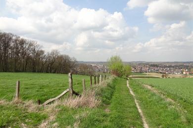 Grünes Wanderbuch Teil 1 mit 23 Wanderungen