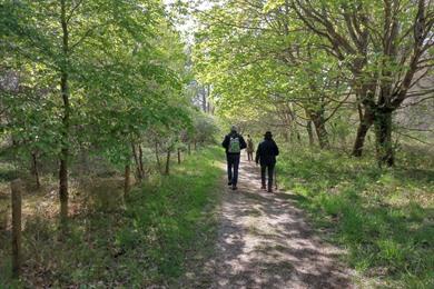 Spaziergang in Hardelot: Château-Weg + Karte