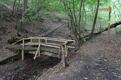 Grüne Kurparkwanderung in Gemünd