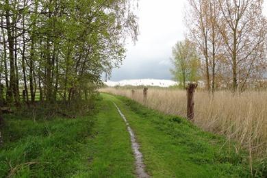 Wanderroute durch die Kalkense Meersen