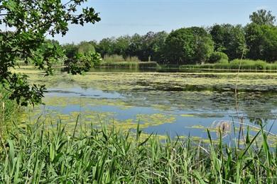 Fahrradroute Kasterlee (41,8 km) Ländliche Strecke entlang Wasser- und Mühlen