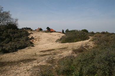 Wanderung durch die Dünen von Doornpanne und den Hoge Blekker