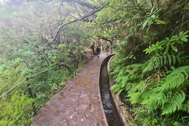 PR6 Wanderung: Levada das 25 Fontes und Risco-Wasserfall Madeira