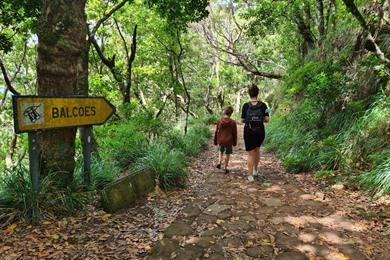 Levada dos Balcões PR11 Wanderung auf Madeira
