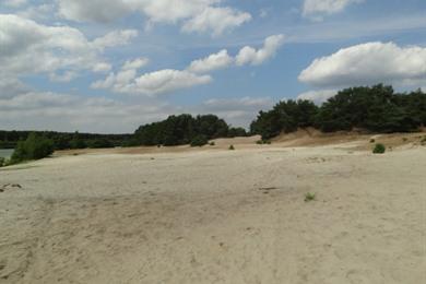 Lommel Spaziergang: Vom Kulturerbe bis zur Sahara