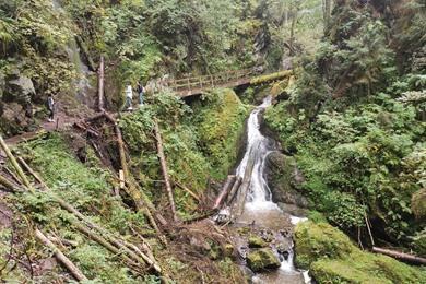 Wanderroute durch die Lotenbachklamm entlang malerischer Wasserfälle