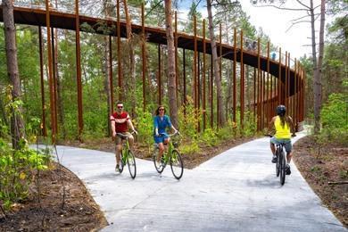 Radfahren durch die Bäume: Fahrradtour Neerpelt, Bosland & Limburgische Kempen