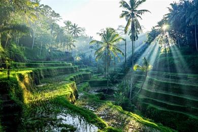 14-tägige Rundreise Bali & Lombok: Komplettroute + Karte