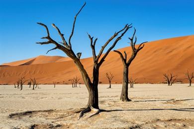 Rundreise Namibia: 16-tägige Rundtour durch Wüste, Küste und Safari