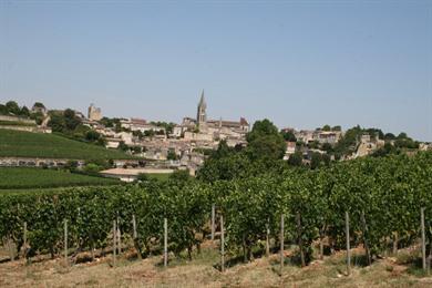 Spaziergang durch Saint-Emilion: Geschichte und Weinberge