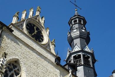 Stadtführung Zoutleeuw: Entdecken Sie verborgene Natur und Kultur