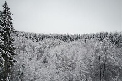 Schneewanderung in Lierneux: Schlittenfahrt durch das Skigebiet Le Monty