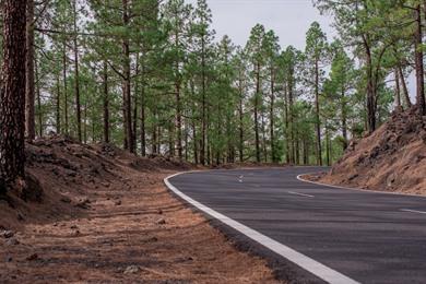 Gravelbike-Erlebnis: Fahrradroute auf Teneriffa