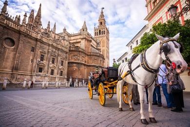 Stadtrundgang Sevilla, entdecken Sie das Schönste der Stadt
