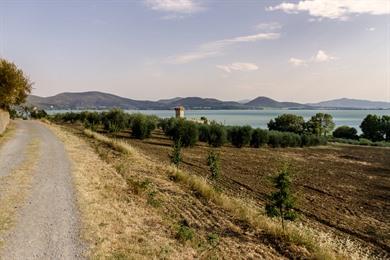 Wandern auf der Isola Polvese im Lago Trasimeno
