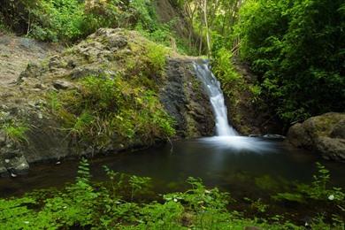 Spaziergang rund um den Barranco de Azuaje über den Mirador panoramico de Moya