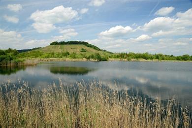 Naturwanderung und Biodiversum Haff Réimich: Sumpfgebiet und Vogelbeobachtung