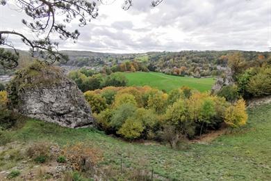 Wanderung durch den Wald in Comblain-au-Pont mit Geschichte und Panoramen