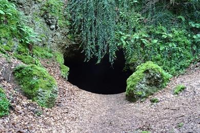 Spaziergang zu den Eishöhlen von Birresborn