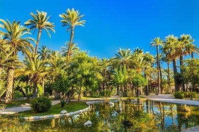 Stadtrundgang in Elche: Entlang Palmen und Highlights