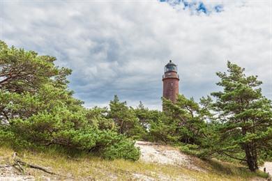 Strand- und Dünenwanderung in Darsser Ort im Nationalpark Vorpommersche Boddenlandschaft
