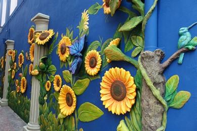 Street-Art-Spaziergang im Zentrum von Willemstad: Entdecken Sie die Stadt durch außergewöhnliche Wandgemälde