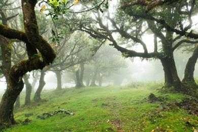 Vereda do Fanal PR13 Wanderung Aussichtspunkt über die Ribeira Funda