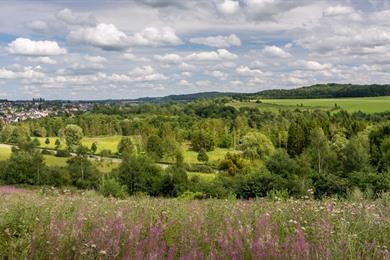 Spaziergang durch Virton: Entdecken Sie die Hauptstadt der Gaume