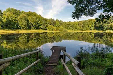 Rundreise Vulkaaneifel: Autotour mit vier Wanderwegen und Karte