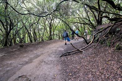 Der Bosque de los Enigmas Wanderweg: entlang der schönsten Aussichtspunkte