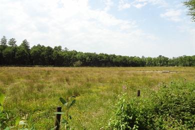 Wandern in den Beernemser Wäldern