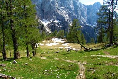 Wanderung zur Slemenova Špica am Vršič-Pass
