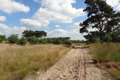 Naturwanderung rund um die Achelse Kluis