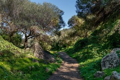Spazieren Sie um den Barranco de los Cernícalos herum