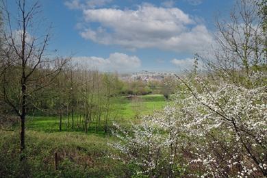 Naturwanderung Ename Horebeke, über Berge und Felder