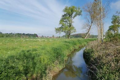 Naturwanderung Velzeke (Zottegem) entlang des Molen- und Zwalmbeckens