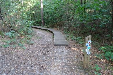 Wanderweg Kattevennen im Hoge Kempen in Genk