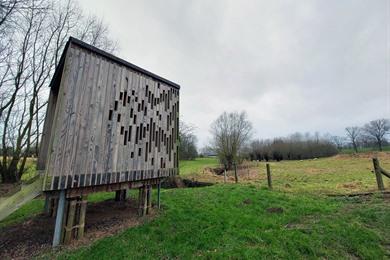 Spaziergang entlang der Landschaftskubusse mit atemberaubenden Ausblicken in Herne
