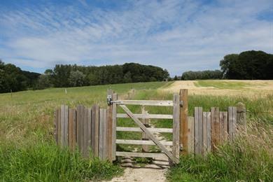 Natur- und Waldwanderung in Maarkedal: Musikwald, Bos Ter Rijst ...