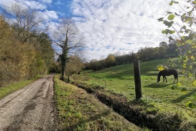 Wanderung durch den Schlosspark Modave und das Naturschutzgebiet