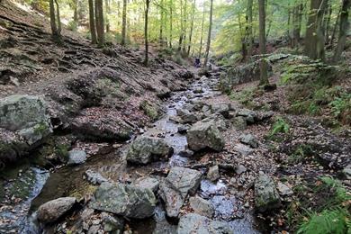 Wanderung entlang des Ninglinspo und der Amblève