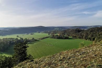 Spaziergang in Rochefort mit Höhlen und Aussichtspunkten