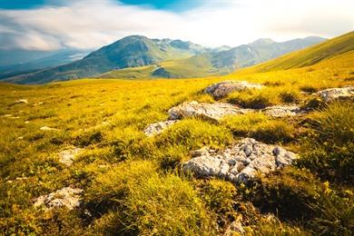 Wanderung zum Gipfel des Titov im Šar-Gebirgs-Nationalpark
