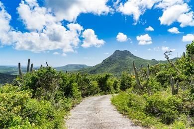 Wanderung zum Christoffelberg auf Curaçao