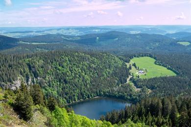 Wanderung Feldberg: Zum Dach des Schwarzwalds
