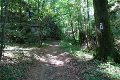Klein-Schweiz: Rundwanderung im Müllerthal und Consdorf