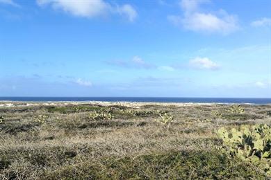 Spaziergang nach Westpunt auf Aruba